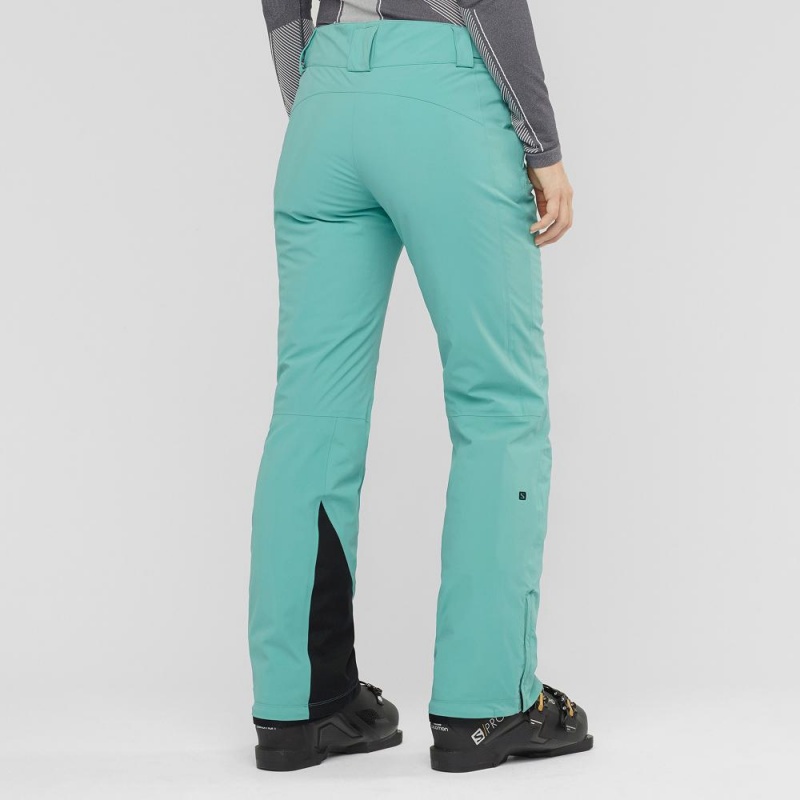 Salomon The Brilliant Pants Green | PRJG-26058