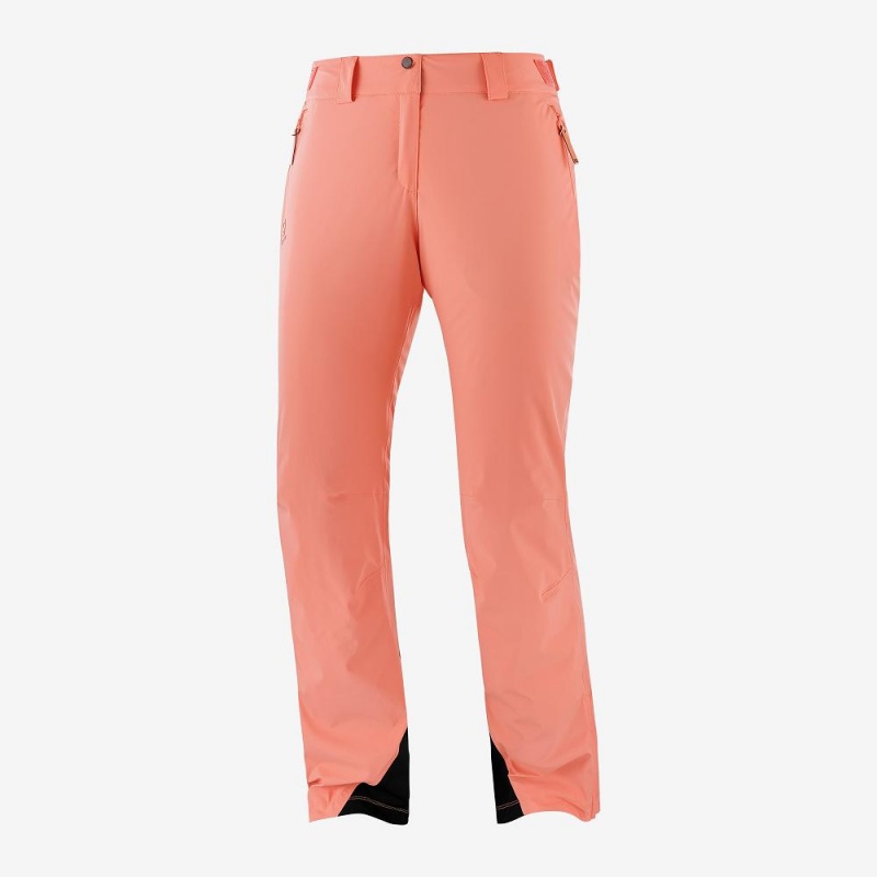 Salomon The Brilliant Pants Orange | FNEV-52419