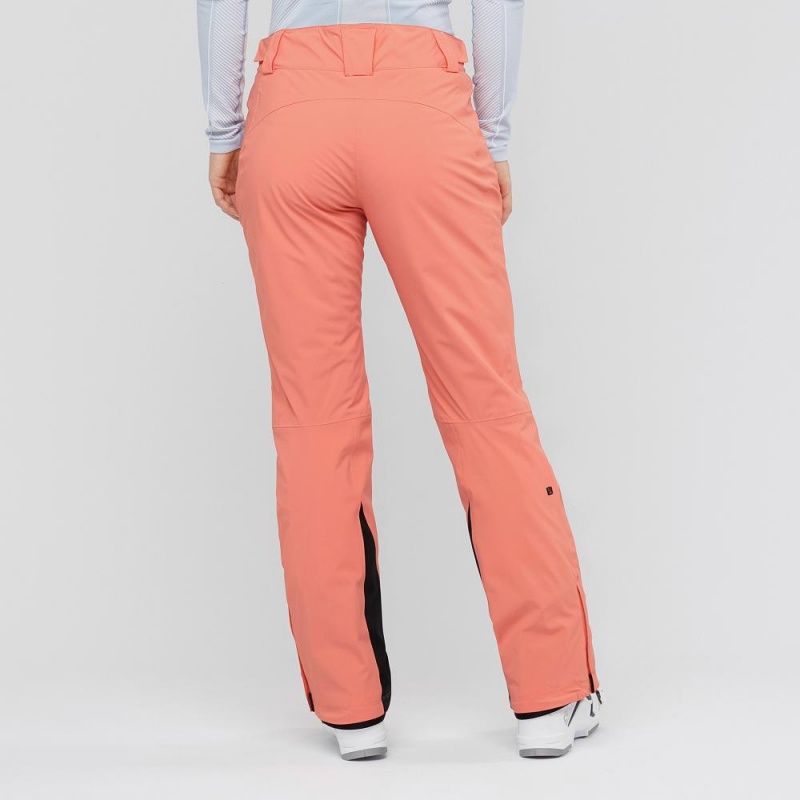 Salomon The Brilliant Pants Orange | FNEV-52419