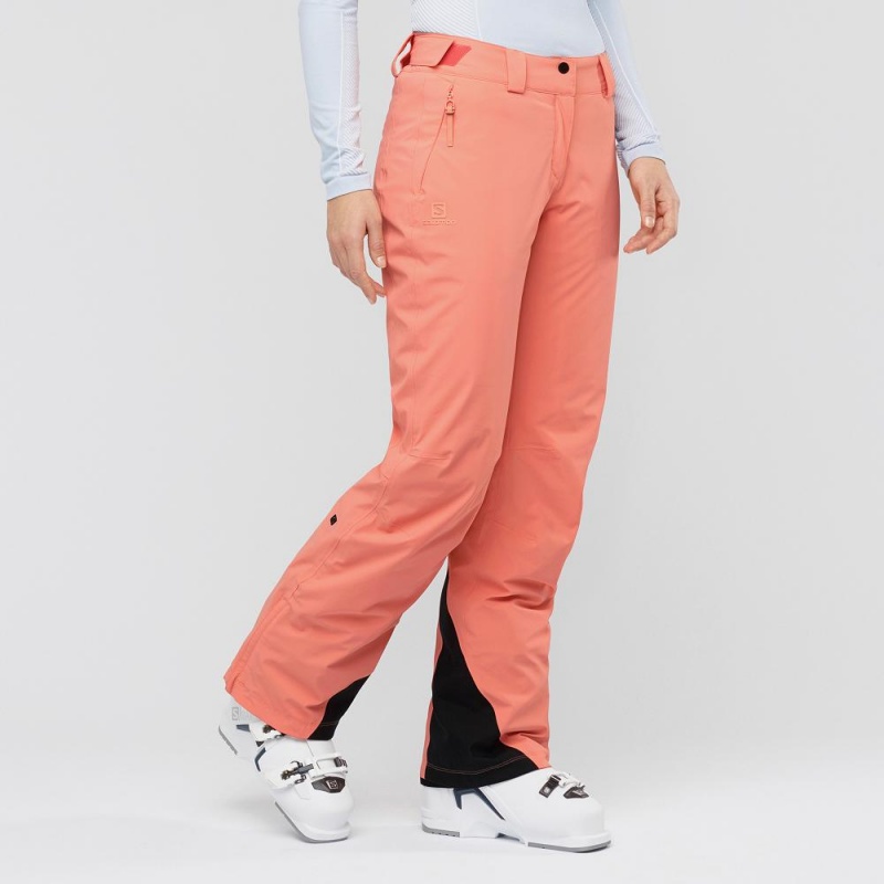 Salomon The Brilliant Pants Orange | FNEV-52419