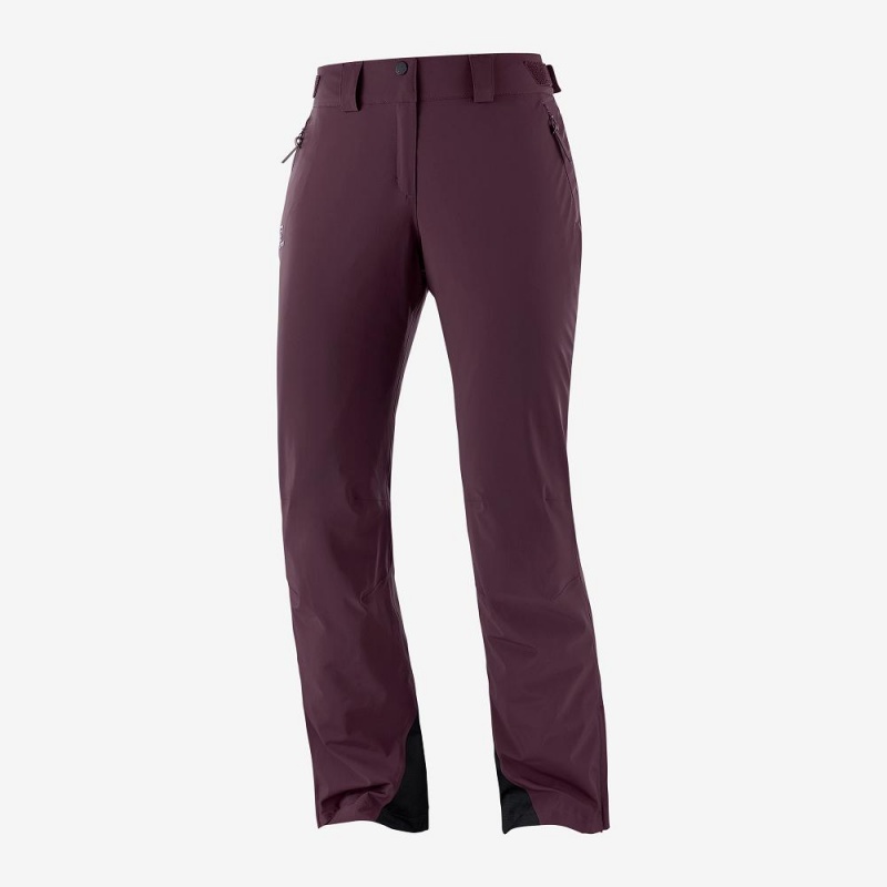 Salomon The Brilliant Pants Purple | QBAX-28936