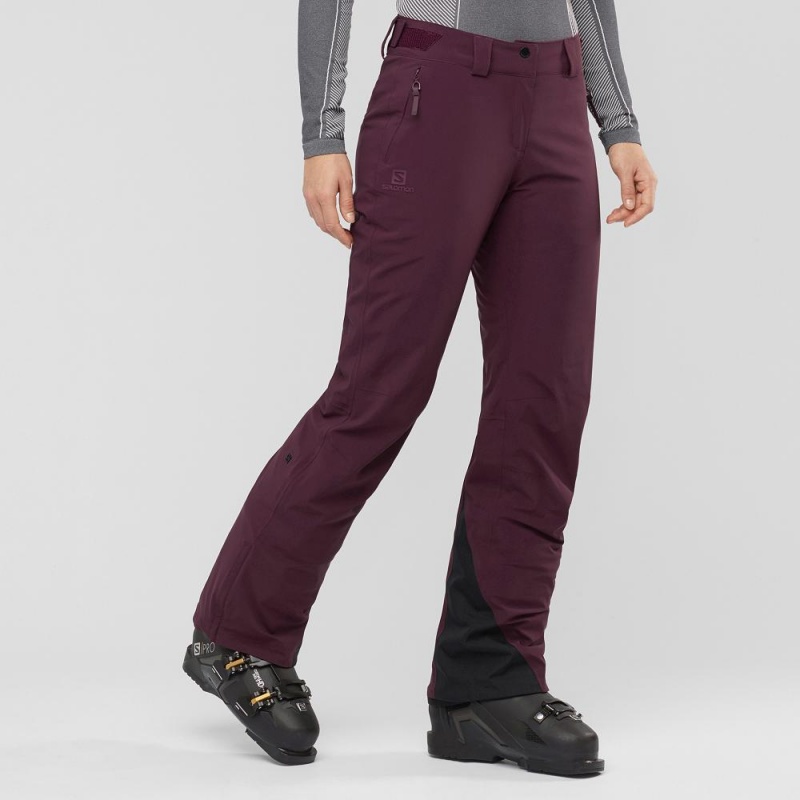 Salomon The Brilliant Pants Purple | QBAX-28936