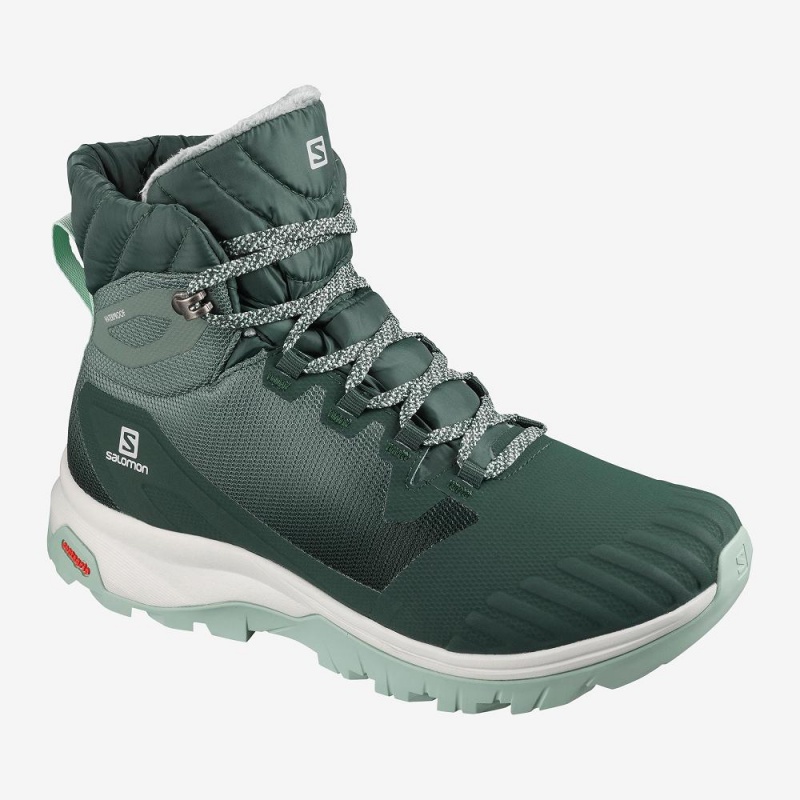 Salomon Vaya Blaze Thinsulate Climasalomon Waterproof Winter Boots Green | PKXV-37682